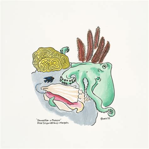 Damselfish in Distress - Lindsay Cordero Art