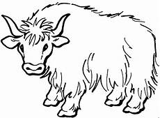 malvorlagen tiere gratis haariger bueffel ausmalbild malvorlage tiere malvorlagen tiere gratis haariger bueffel ausmalbild malvorlage tiere