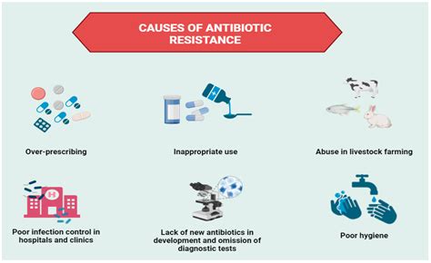 Causes Of Antibiotic Resistance