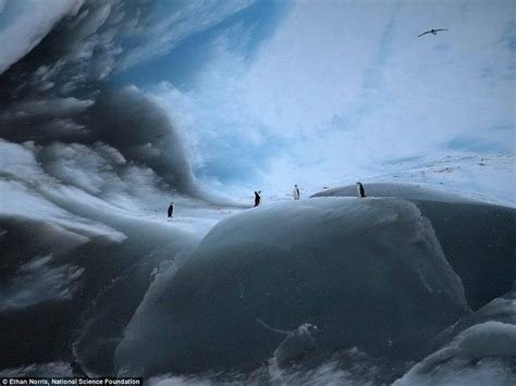 南极罕见的蓝色晶体冰山，冰清玉洁的冰蓝世界|南极|晶体|蓝色_新浪新闻