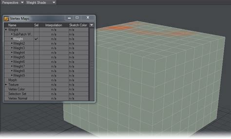 Image result for Lightwave Map Tutorial Weight