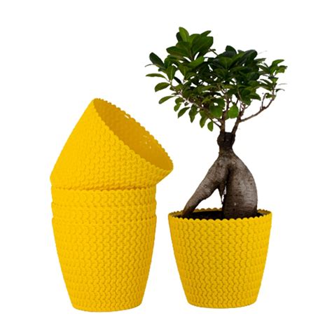 Amazon Brand - Umi Indoor and Outdoor Plants Designer Round Shape 7 ...