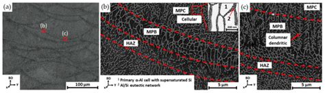Additive Manufacturing of AlSi10Mg and Ti6Al4V Lightweight Alloys via ...