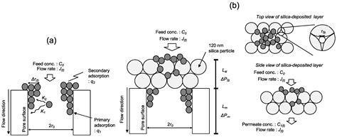 Filtration of Elastic Polymers and Spherical Gels through a Silica ...