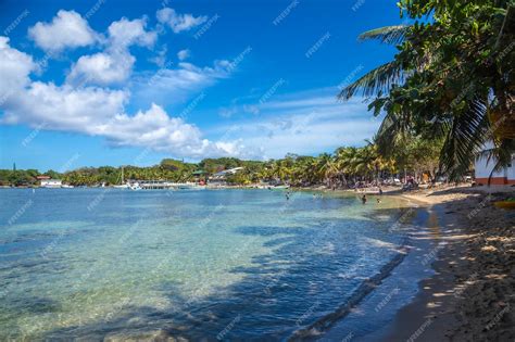 Premium Photo | West end beach on roatan island honduras