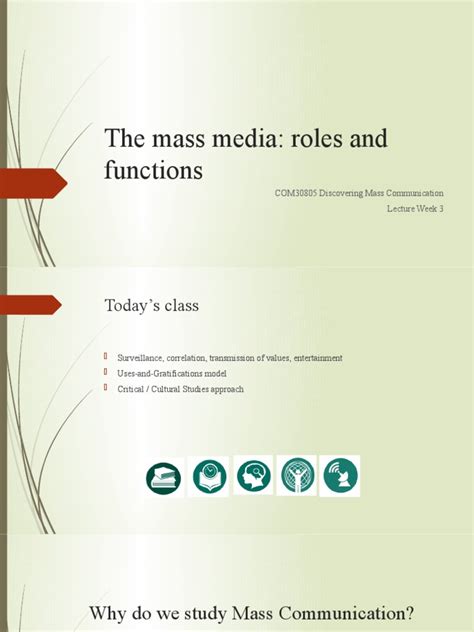 Mass Media Function 的图像结果