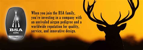 BSA AIRGUNS – Cynosure