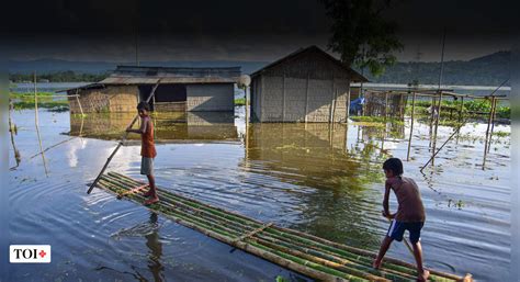 Why Brahmaputra flood risk is 38% higher than thought - Times of India