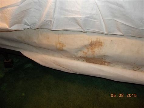 LADD BROOK INN (Pownal) - Hotel Reviews & Photos - Tripadvisor