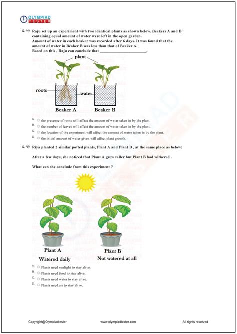 Image result for Class 2 Science Plant