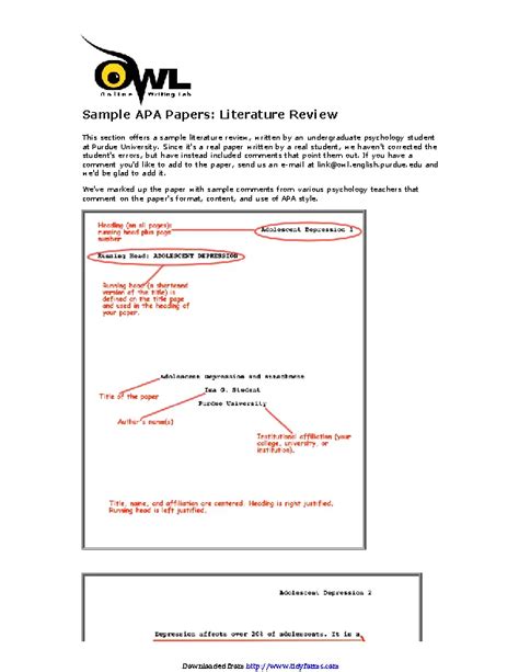 Literature Review Example 1 - PDFSimpli