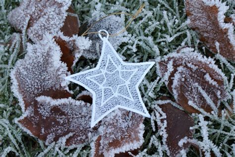 Image result for How to Digitize FSL