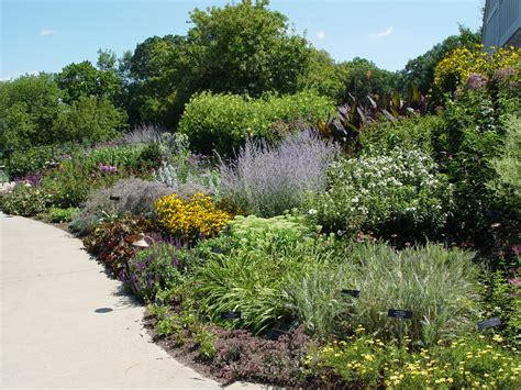 Rain Garden Design For Homeowners | Fasci Garden