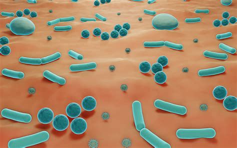 What is Skin Microbiome + How To Improve Skin Microbiome – SkinKraft