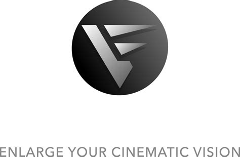 Image result for Enlarge. Vision Logo