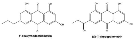 Marine Anthraquinones: Pharmacological and Toxicological Issues