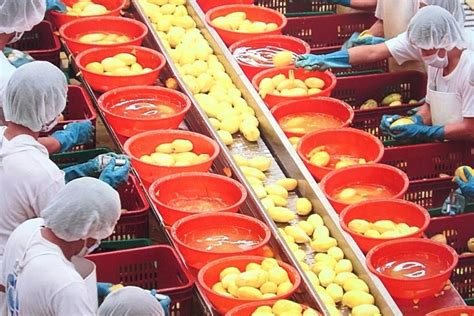 Cebu Arts and Crafts Half-Day Factory Tour in Cebu | Pelago
