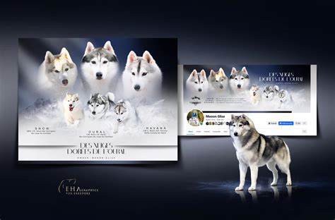 EHA GRAPHICS - DESIGN FOR BREEDERS AND STUD OWNERS