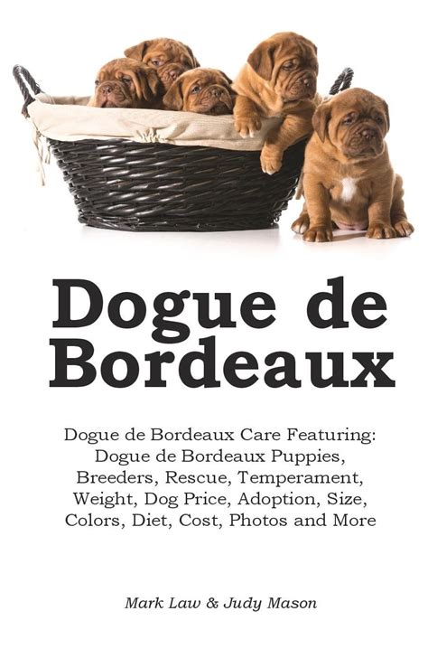 Dogue de Bordeaux. Dogue de Bordeaux Care Featuring: Dogue de Bordeaux ...