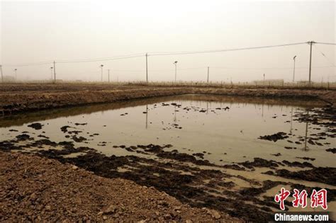 宁夏银川：鱼池“诸葛亮”的水产养殖经_腾讯新闻