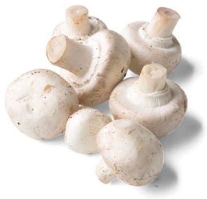 Shroomness White Button Mushroom Spawn Seed Price in India - Buy ...