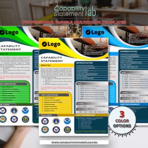 Image result for Capability Statement Sample