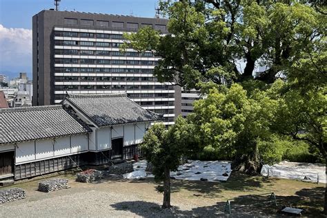 https://kumacoco.jp/images/blog-kumamoto-cityoffice_2021-8.jpg