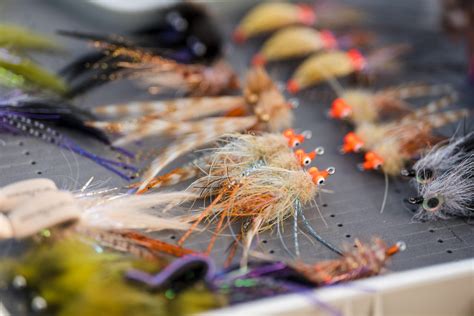 Image result for Redfish Fly Patterns