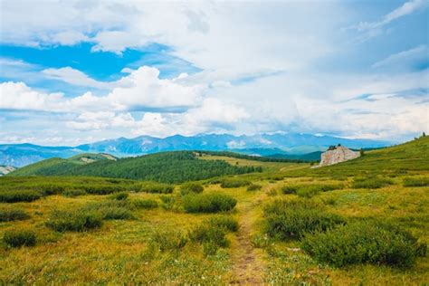 Spectacular View 的图像结果