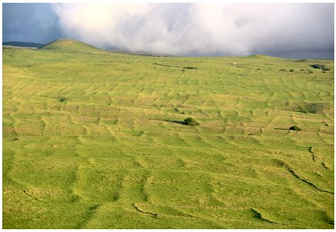 Restoration of ‘Āina Malo‘o on Hawai‘i Island: Expanding Biocultural ...
