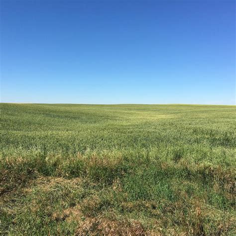 Elevation of Sweet Grass, MT, USA - Topographic Map - Altitude Map