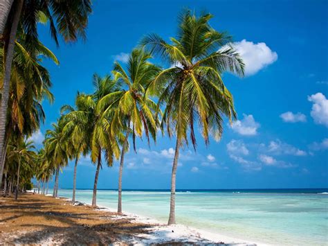 A guide to Lakshadweep, one of India’s most pristine islands | Times of ...