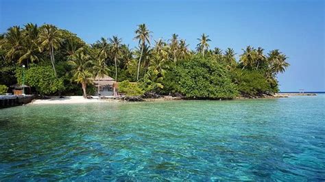 Biyaadhoo Island Tourism (2024): All You Need to Know Before You Go