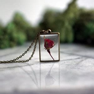 Amber Module Review 的图像结果