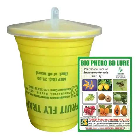 Sonkul Agro Bio Phero Bd Regular + New Upper Lid Glass Trap | Buy Now ...