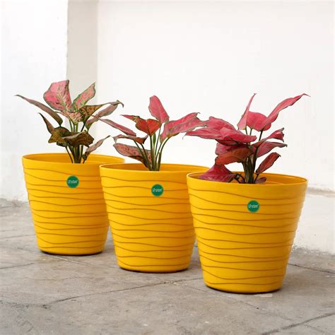 Plastic Matrix Pots - (Set of 3)
