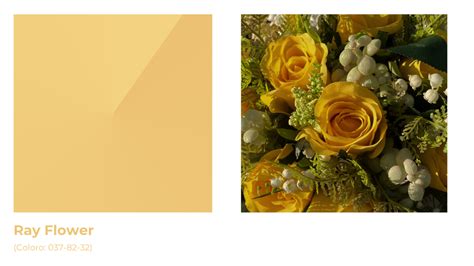 Muito além do Pantone: cores que ditarão tendências em 2025 - VEM