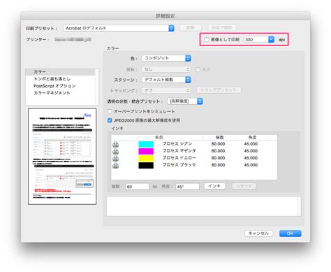 Acrobat / Acrobat Reader で特定のPDF書類だけ出力できません
