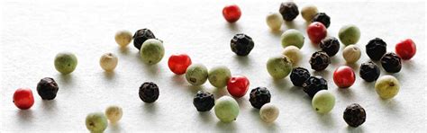 Wiberg-Gewürze | GOURMET VERSAND Online Shop