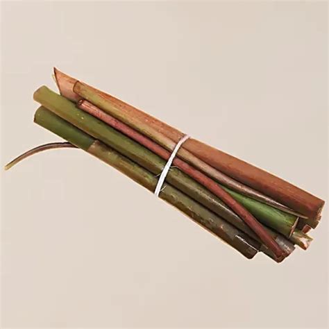 Colocasia Stem – JITCO