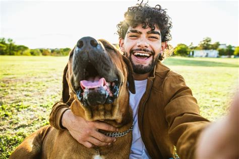 Humans D Dogs 的图像结果