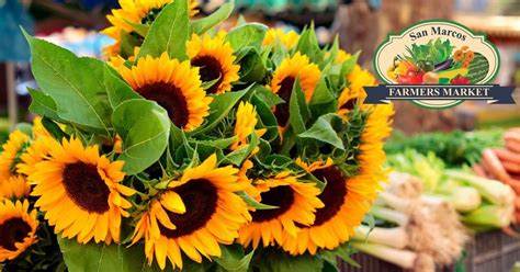 San Marcos Farmers Market, San Marcos Farmers Market, 12 December 2023 ...