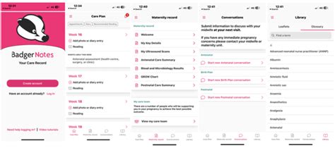 Image result for BadgerNet Script to Access Notes