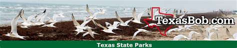 Image result for Texas Exploding Heart Quilt Block Pattern