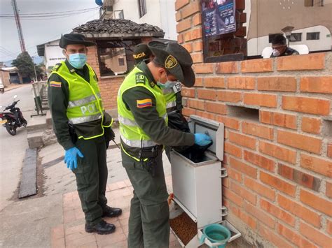 Comprometidos con los perritos de la calle - TSM Noticias