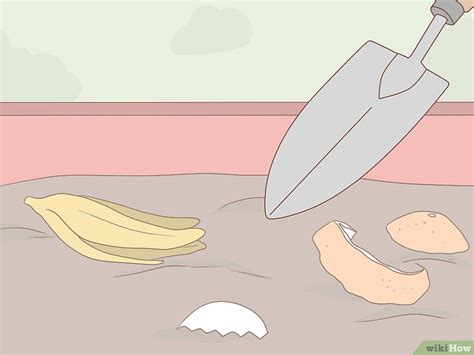 Image result for How Is Food Disposed