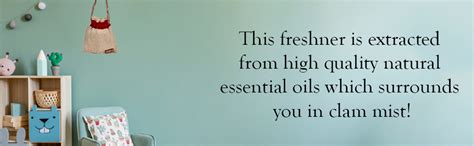 Vedashree Natural & Organic ''FLAME'' Car Perfume, Hanging Car Air ...