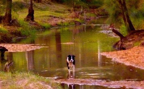 INNOT HOT SPRINGS HEALTH AND LEISURE PARK - Spa Reviews & Photos ...