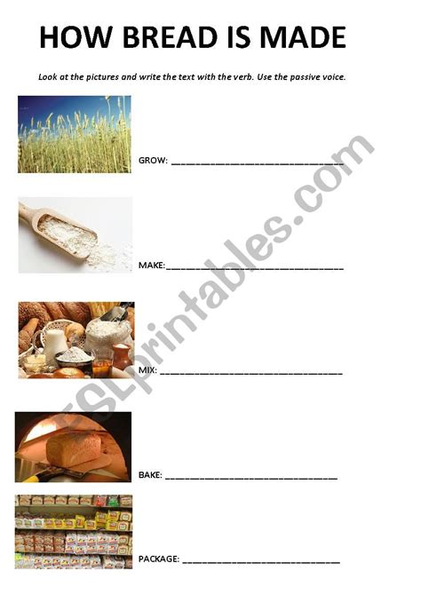 Bread Worksheet 的图像结果
