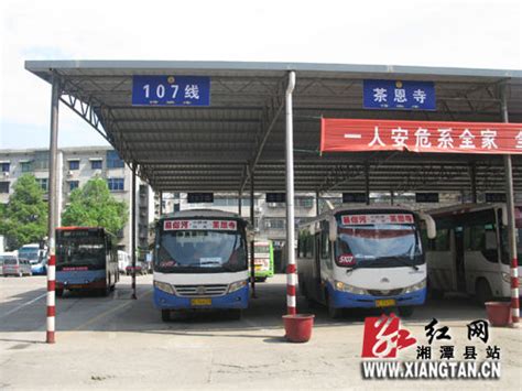 107线41台公交集体回巢 湘潭县实现客运车全部进站经营_新浪新闻